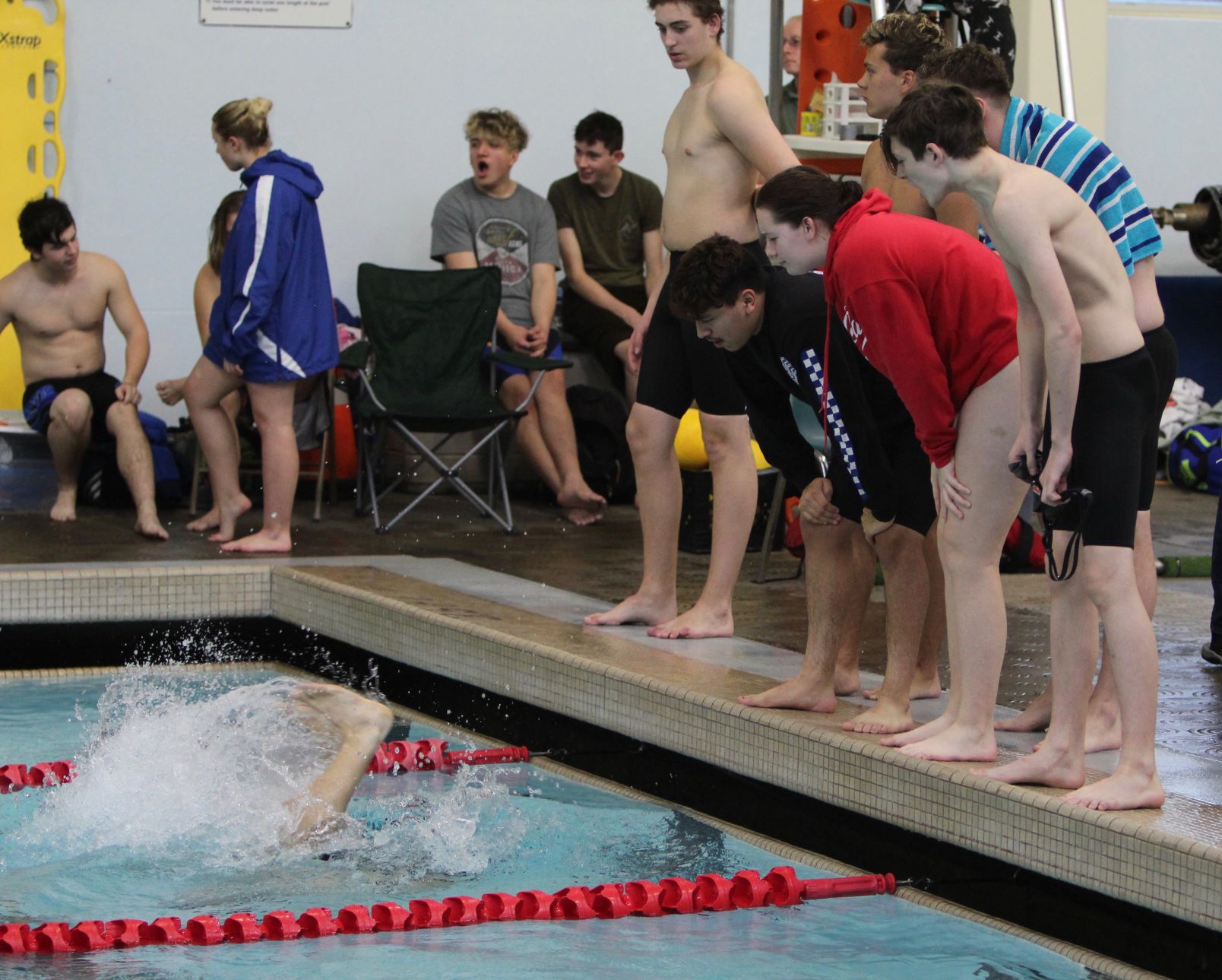 swim.jpg